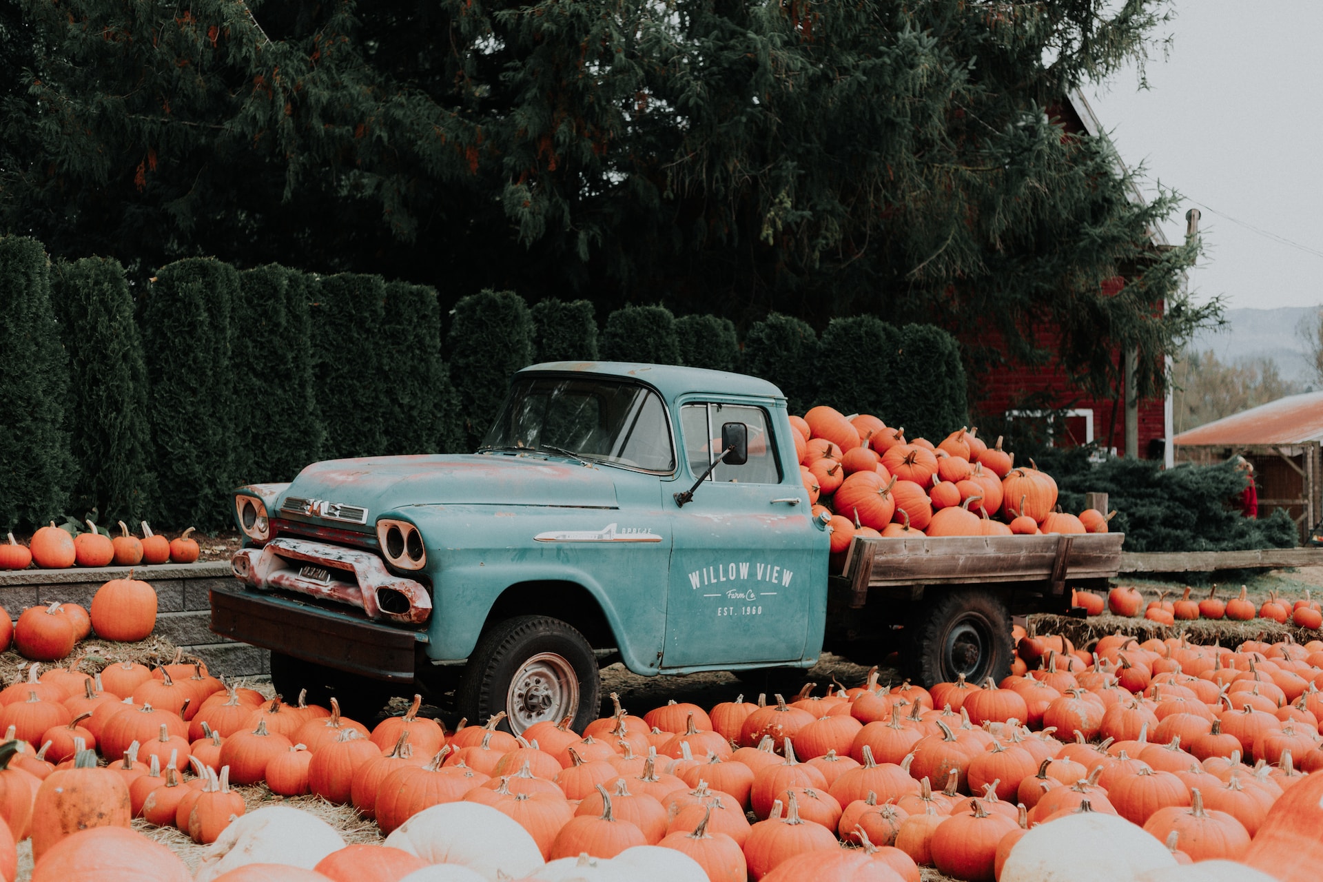 San Diego Pumpkin Truck