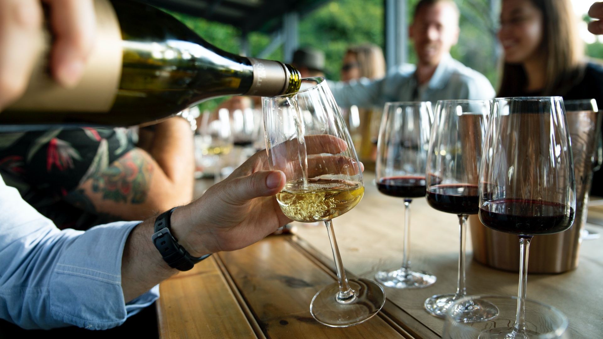 Explore wine tasting in San Diego